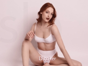 Dibaker