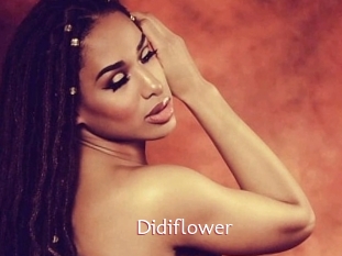 Didiflower