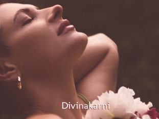 Divinakarni