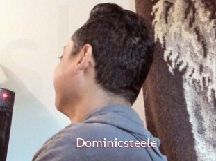 Dominicsteele