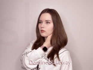 Dominoblakeway