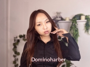 Dominoharber