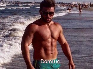Domluc