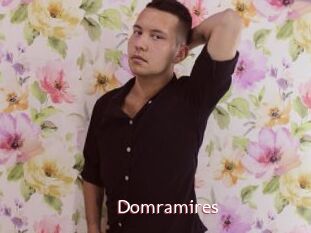 Domramires