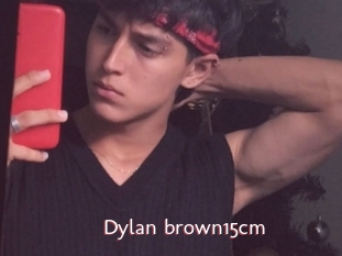 Dylan_brown15cm
