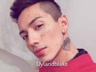 Dylandblake
