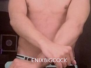 ENIXBIGCOCK