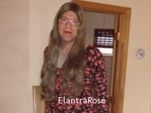 Elantra_Rose
