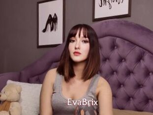 EvaBrix