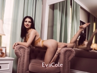 EvaCole