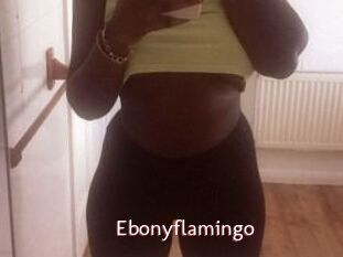 Ebony_flamingo