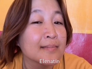 Elenatin