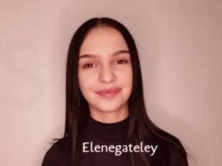 Elenegateley