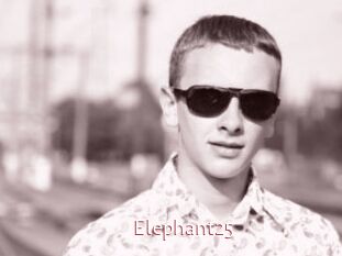 Elephant25