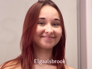 Elgaalsbrook