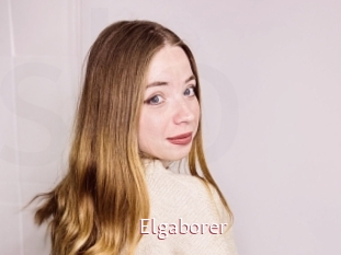 Elgaborer