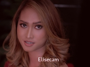 Elisecam