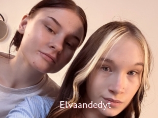Elvaandedyt