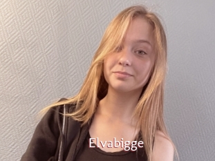 Elvabigge