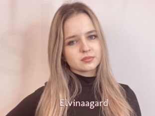 Elvinaagard