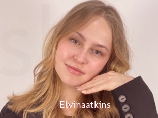 Elvinaatkins