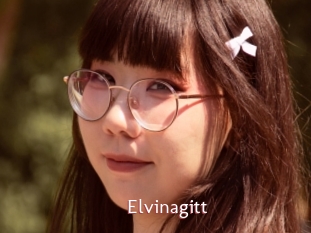 Elvinagitt