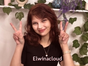 Elwinacloud