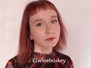 Elwinebuskey