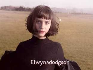 Elwynadodgson