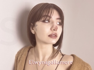 Elwynagallamore