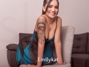 Emilykat