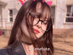 Erlenebate