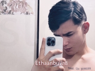 ethaanbull18 Sweet links only