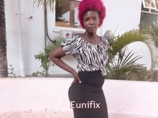 Eunifix