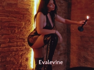 Evalevine