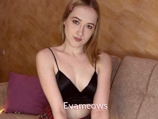 Evameows