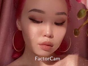 FactorCam