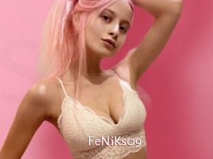 FeNiKs09