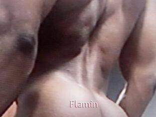 Flamin