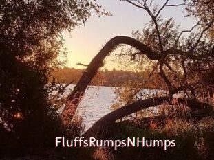FluffsRumpsNHumps