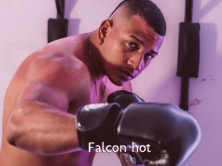 falcon_hot Sweet links only