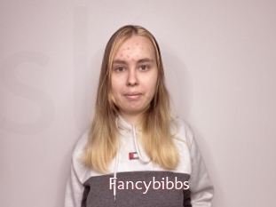 Fancybibbs