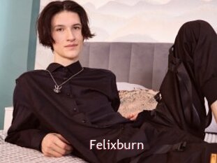 Felixburn