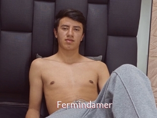 Fermindamer