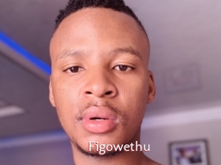 Figowethu