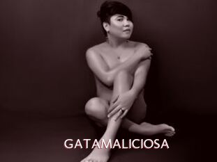 GATAMALICIOSA