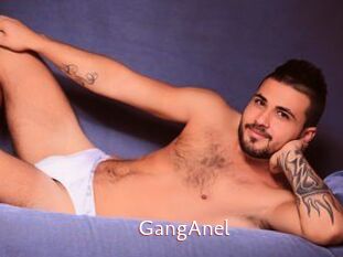 GangAnel