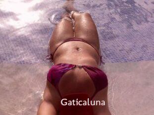 Gaticaluna