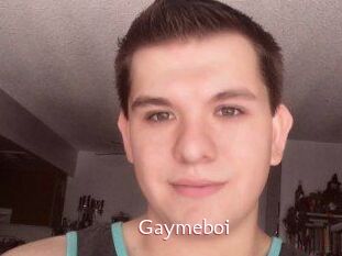 Gaymeboi