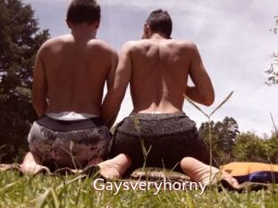 Gaysveryhorny